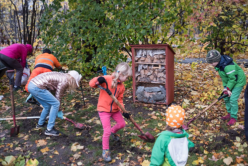 Anlägg en äng, workshop i Marabouparken 2019