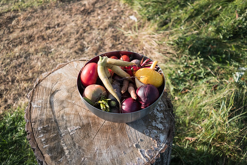 Fire Soup, sterngens Open Outdoor Kitchen. Photo: Erik Sjdin.