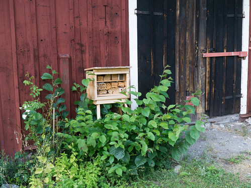 Vra vnner pollinatrerna p Hsta grd, Erik Sjdin 2012