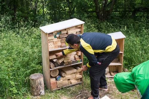 Our Friends the Pollinators at Eggeby grd. Photo: Erik Sjdin 2014.