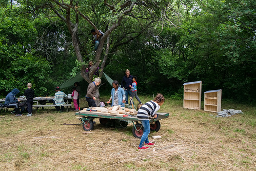 Our Friends the Pollinators at Eggeby grd. Photo: Erik Sjdin 2014.