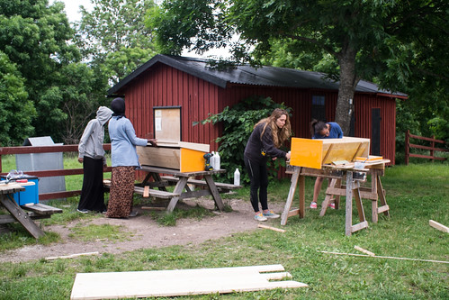 Our Friends the Pollinators at Eggeby grd. Photo: Erik Sjdin 2014.